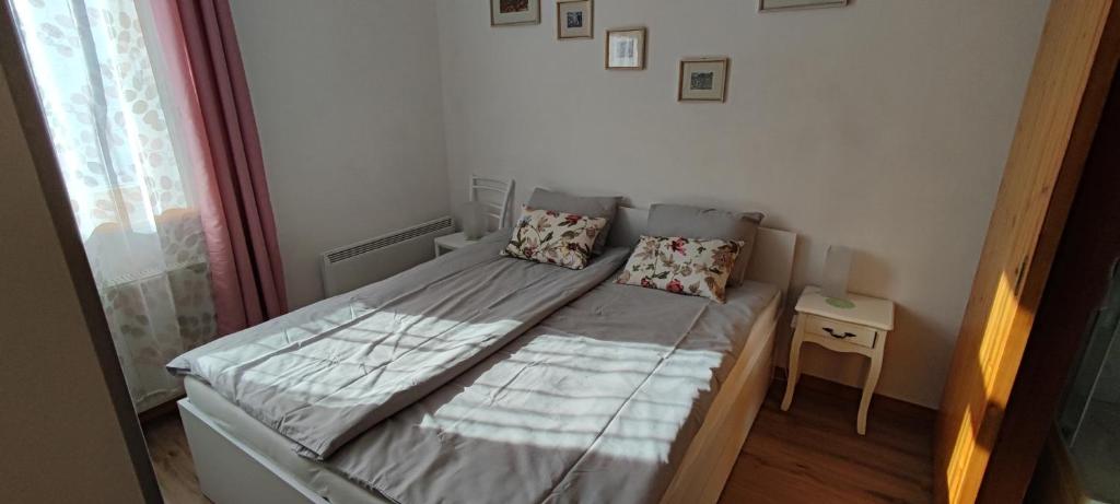 Apartma Vila Kočna photo 3
