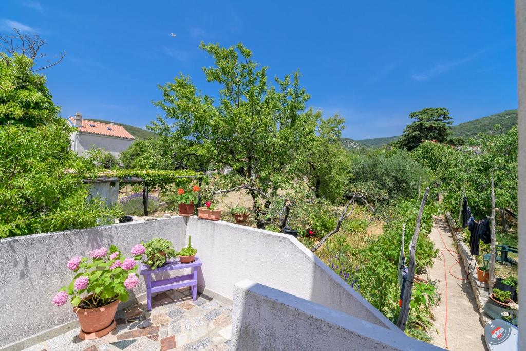 Apartmani Noris (app 1) photo 1