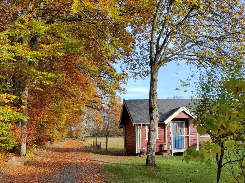 Lill Hagahus, Söderåsens Nationalpark photo 1