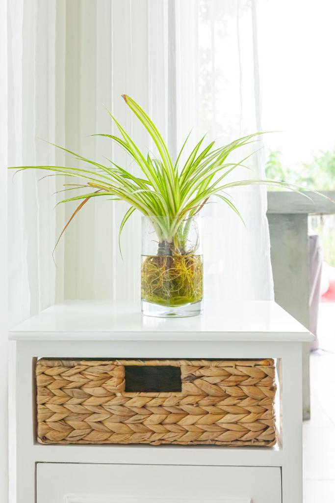 Peony Villa Sanctuary Ho Tram