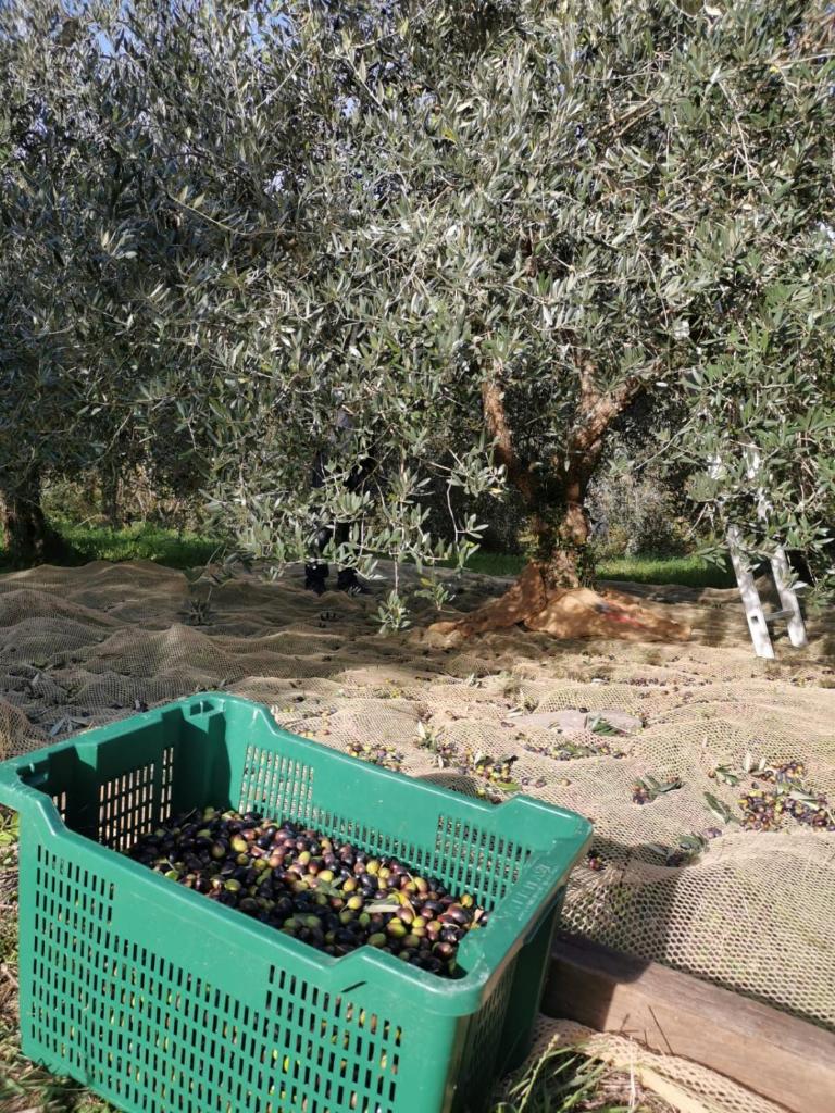 Casina di Vicchio photo 4