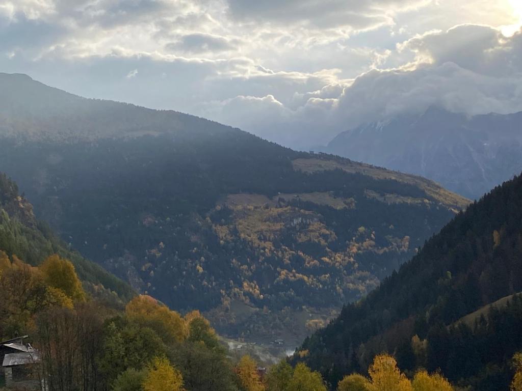 Baita Valtellina. Relax nel cuore delle Alpi photo 4