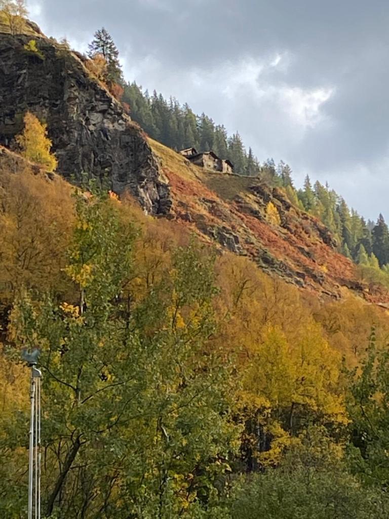 Baita Valtellina. Relax nel cuore delle Alpi photo 3