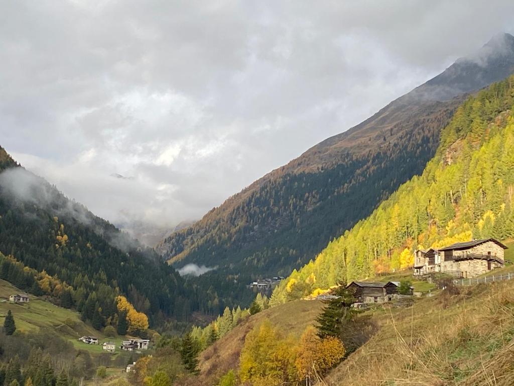 Baita Valtellina. Relax nel cuore delle Alpi photo 2