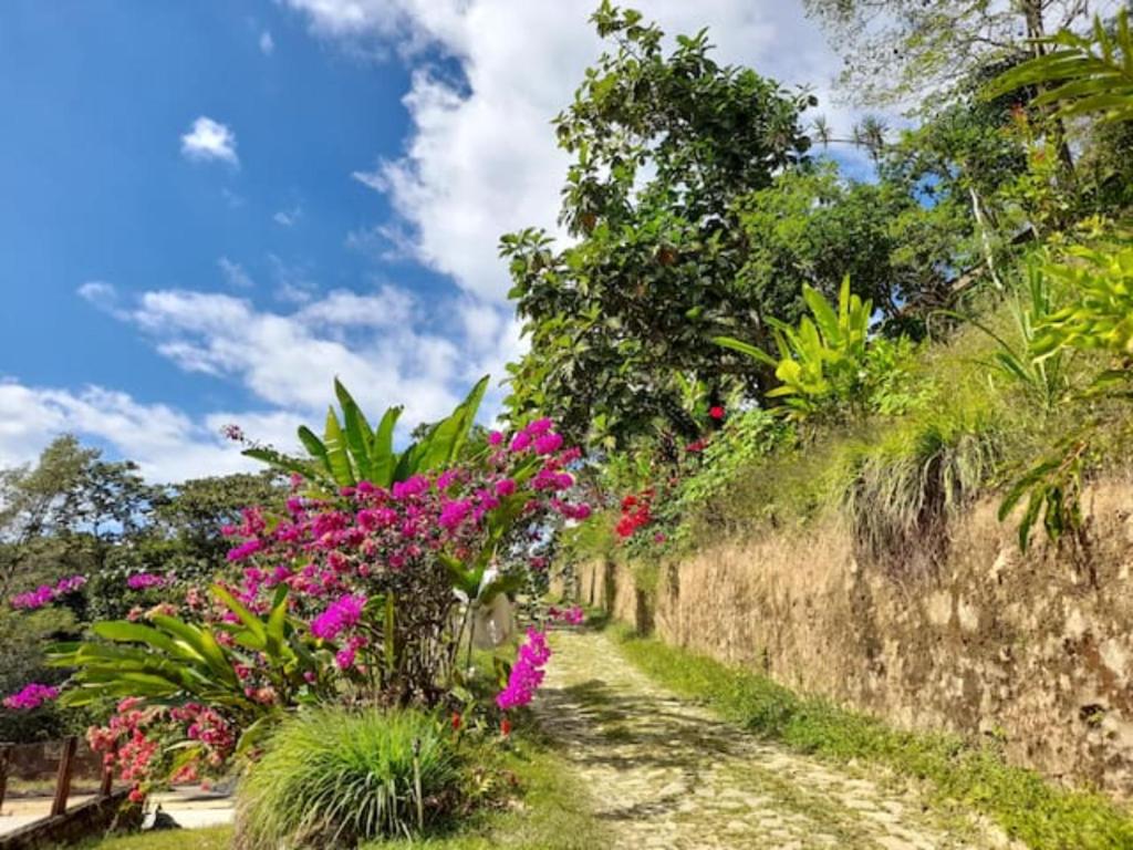 Finca Vista Hermosa - Deluxe Bamboo Cabana photo 4