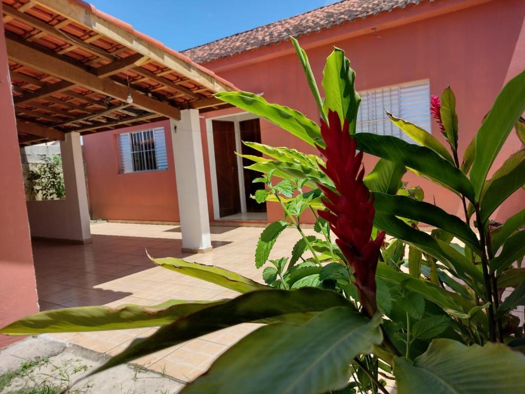 Casa da Voh photo 2