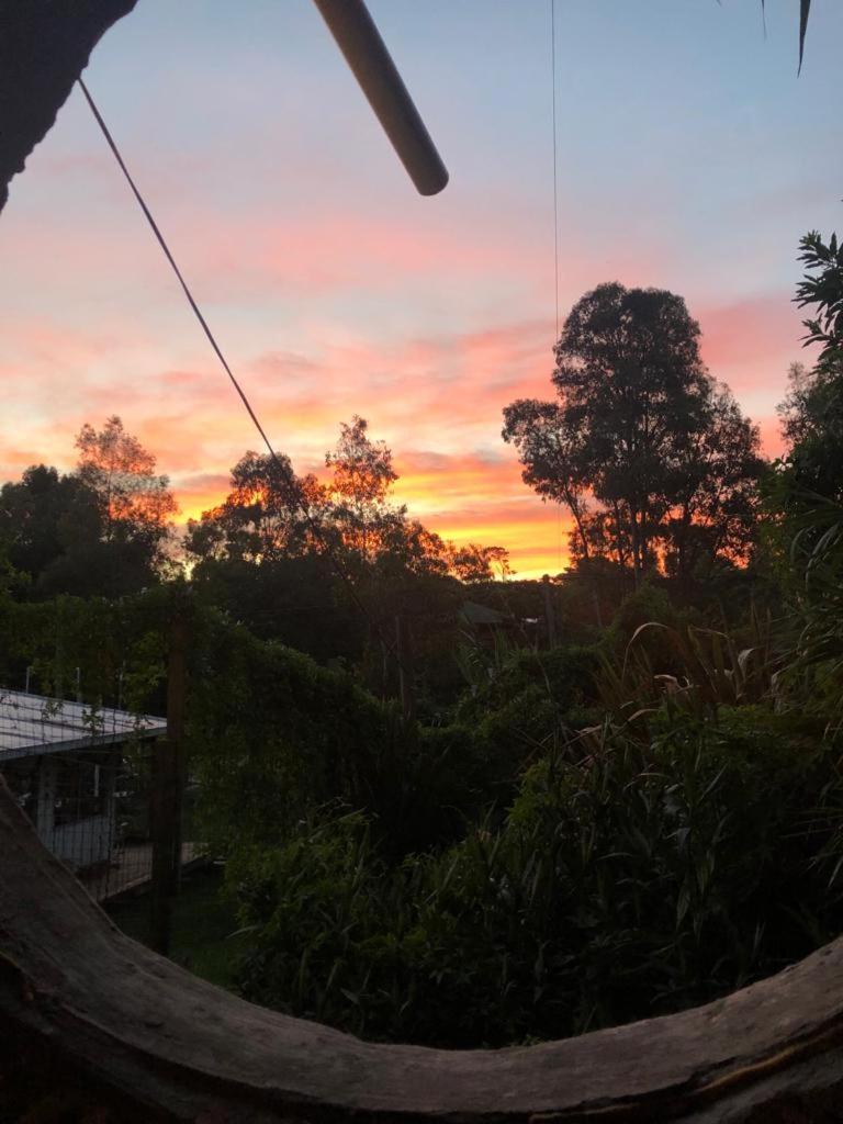 Casa Hobbit photo 1