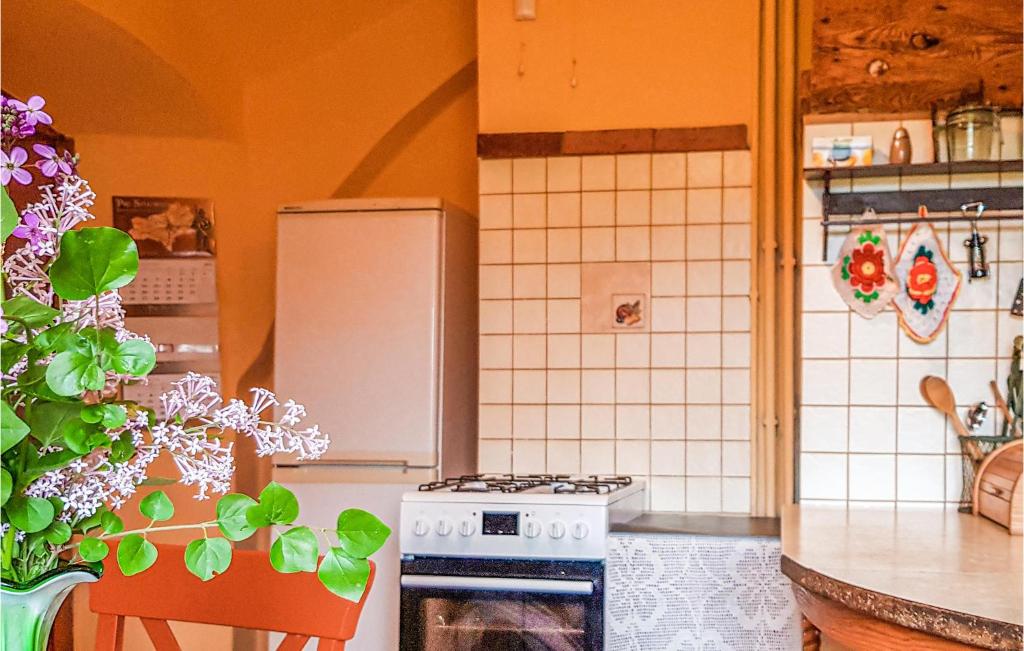 Amazing Home In Skape With 4 Bedrooms And Wifi photo 4