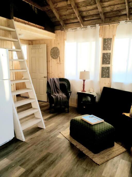 The Nest Cozy Cottage at the Lake photo 2