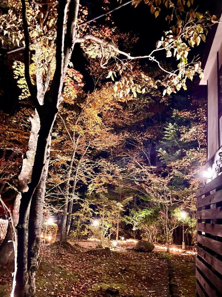 Ippukaku DAMカラオケやBBQなど最大18人は泊まれる大自然の中にある自慢の貸し別荘! photo 1
