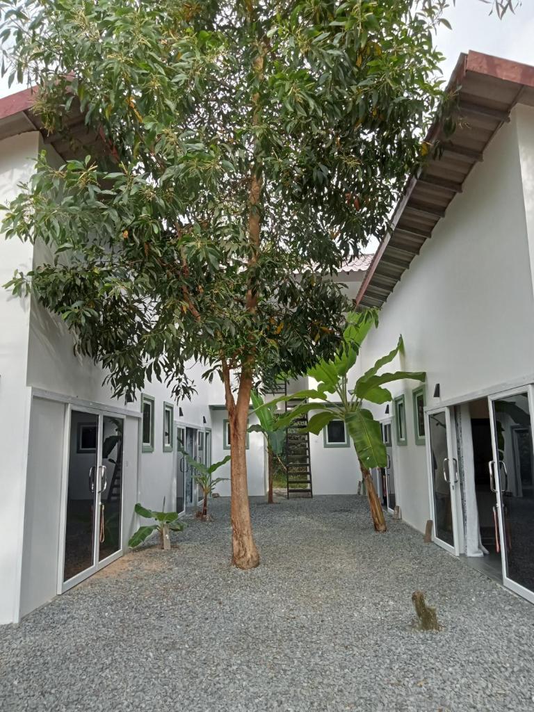 Little Escape Guesthouse Nesat photo 1