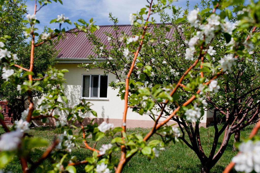 Barskoon Guest House photo 4