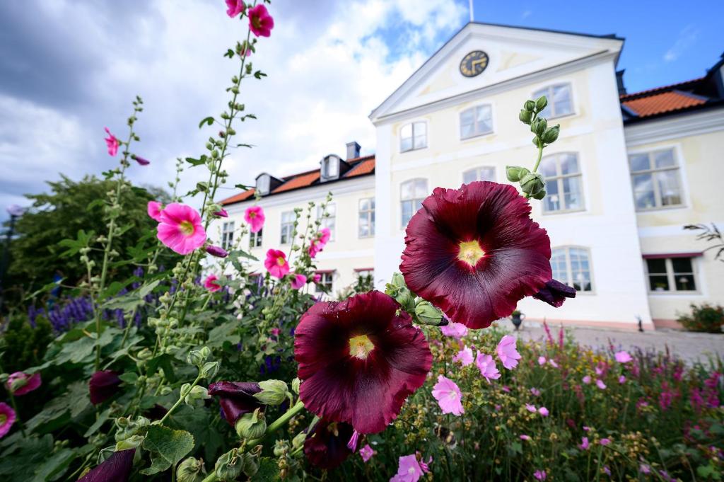 Stjärnholmsslott photo 1