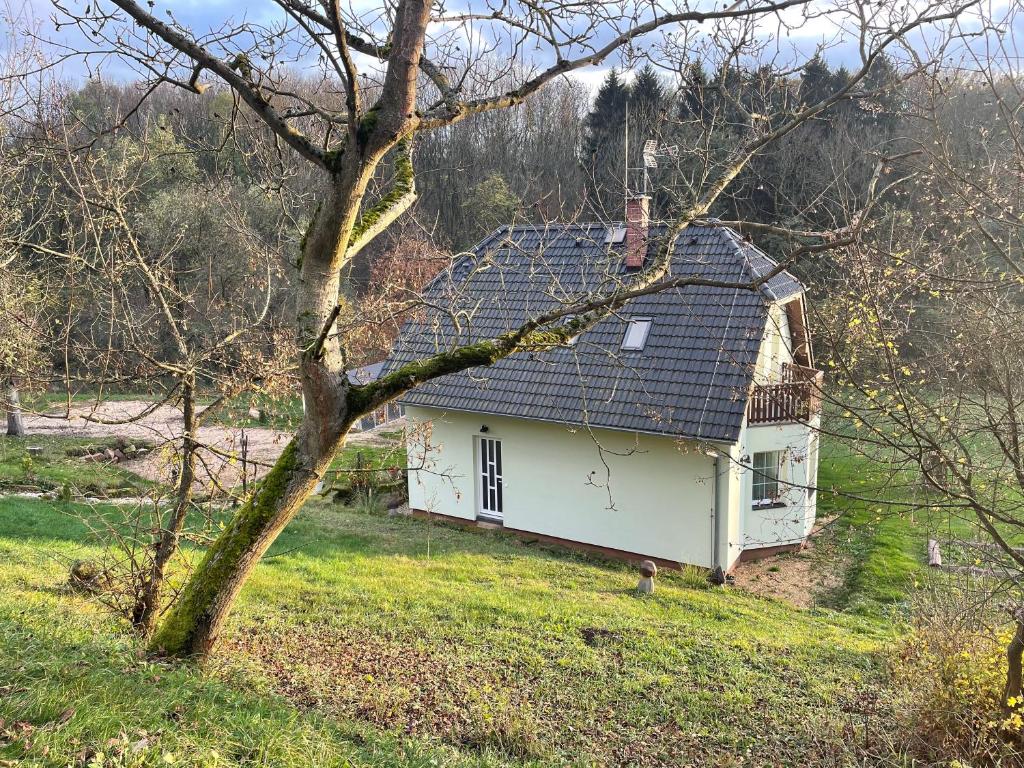 Veselka photo 2