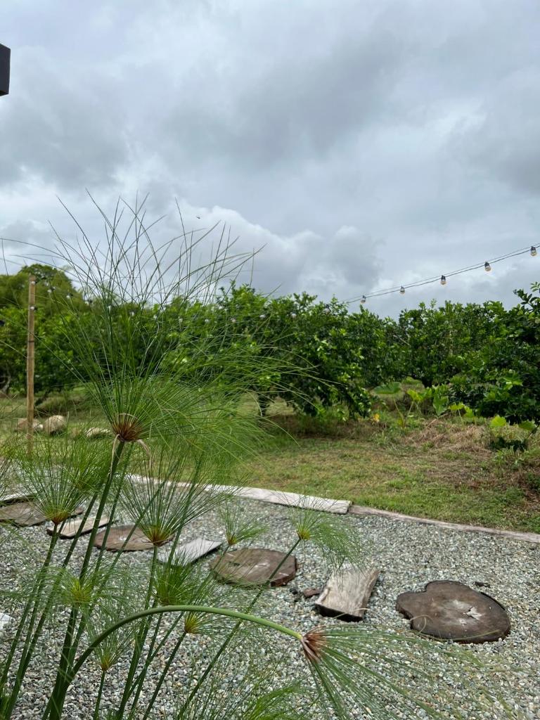 Reserva Cristales Glamping photo 2