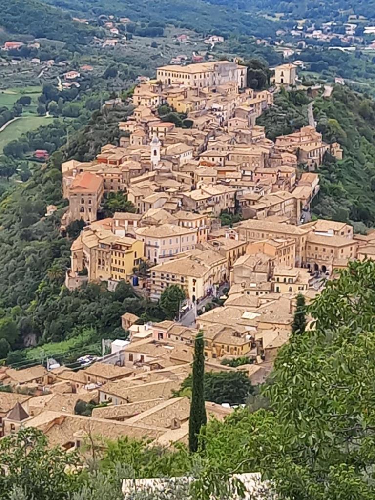 BELLA REGINA