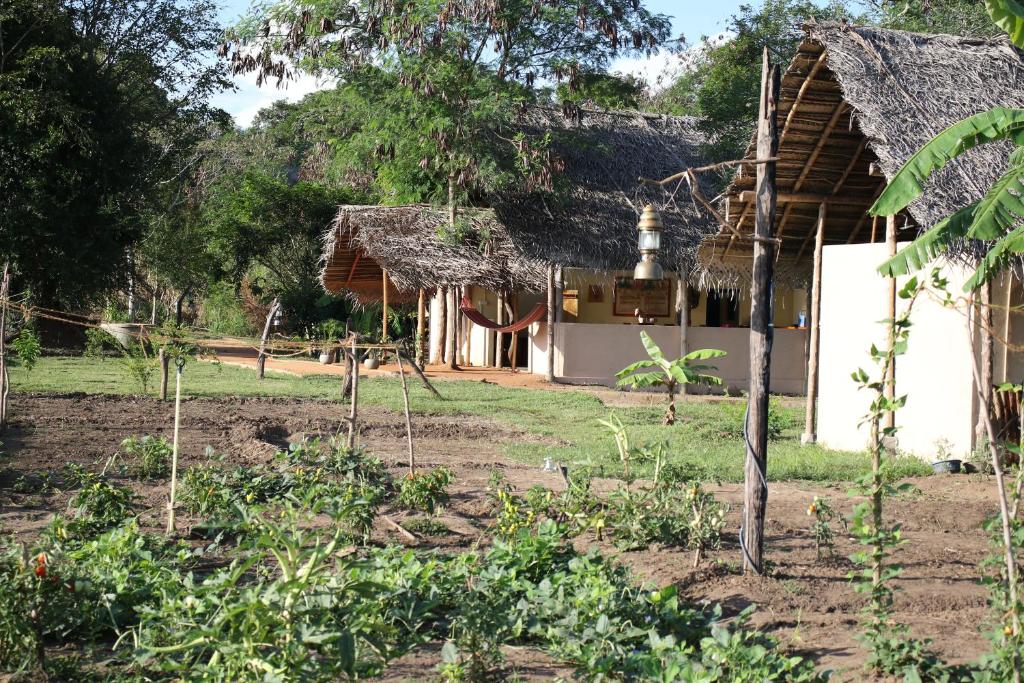 Nirvaan Safari Lodge photo 2