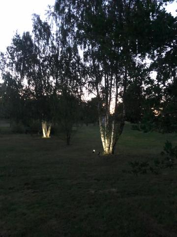 Gite des 2 arbres de la sagesse , agréable chalet avec spa privatif photo 1