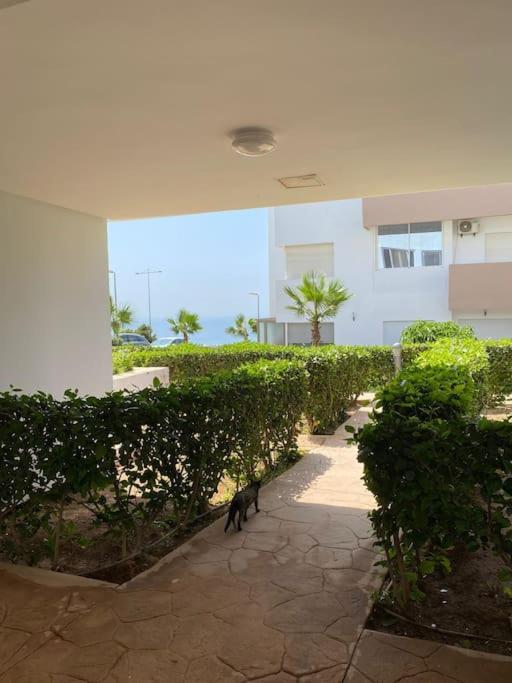 Bel appartement imiouadar photo 4