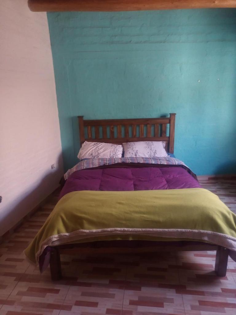 Casa llena de vida con hermosos árboles frutales photo 1