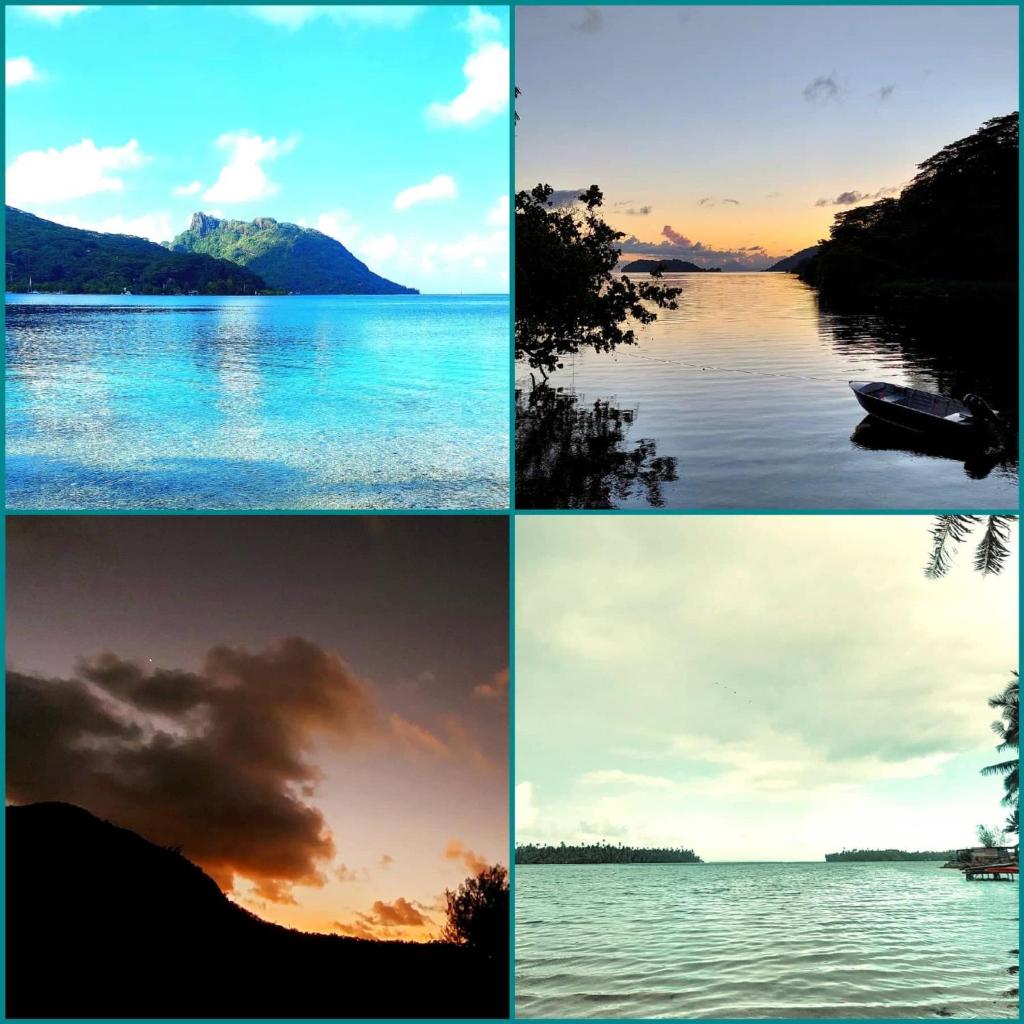 Fare Anuhe HUAHINE photo 2