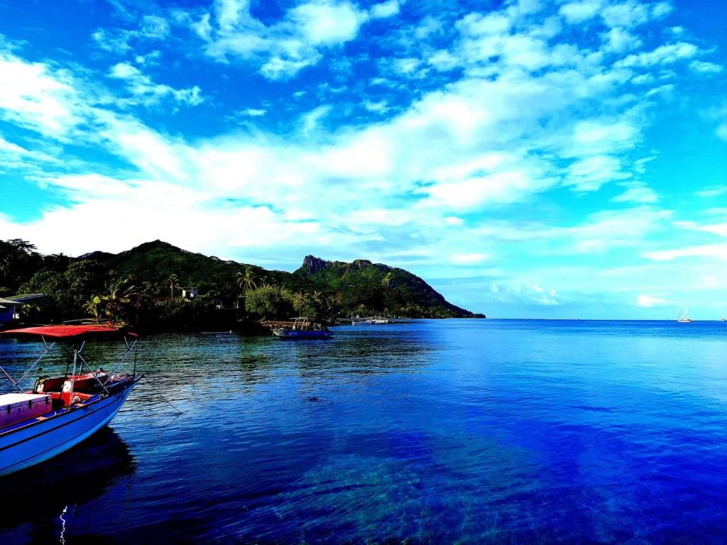 Fare Anuhe HUAHINE photo 3