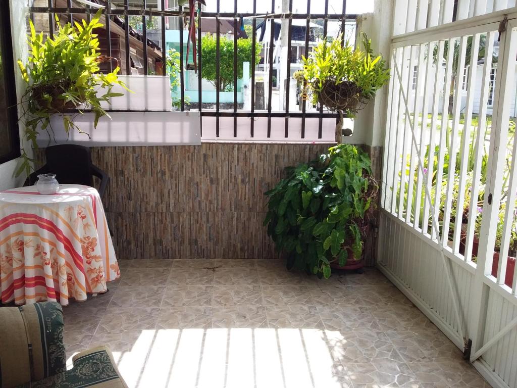 Green Sea Inn San Luis photo 3