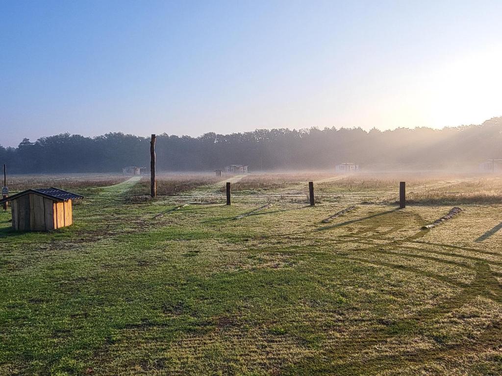 Hoeve Twente - Oeverzwaluw photo 4