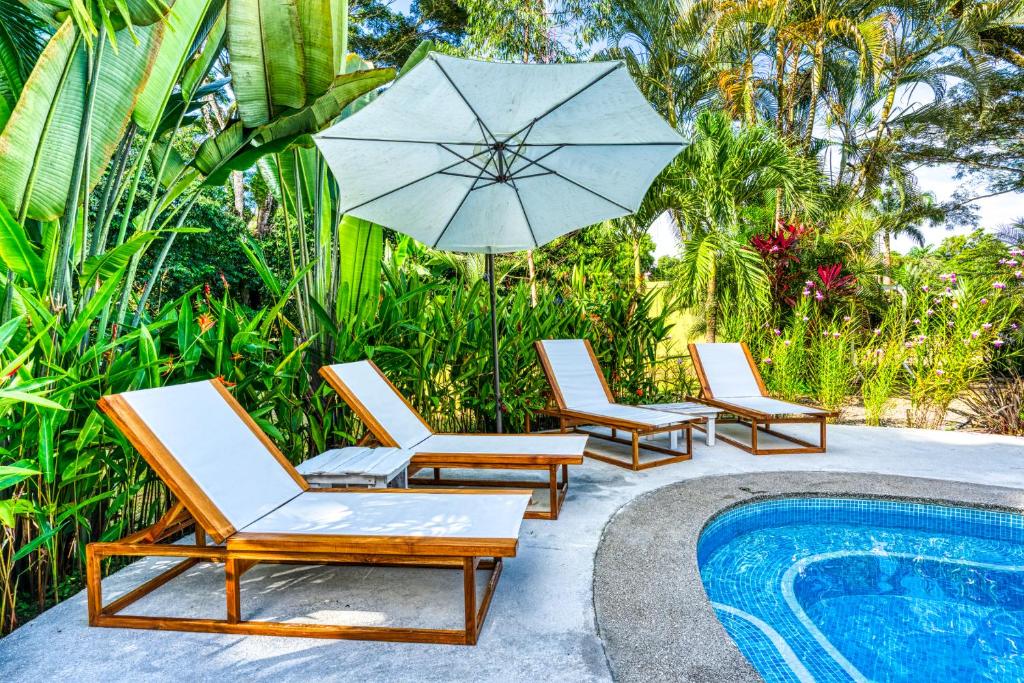 Tribe Boutique Hotel - Adults Only photo 4