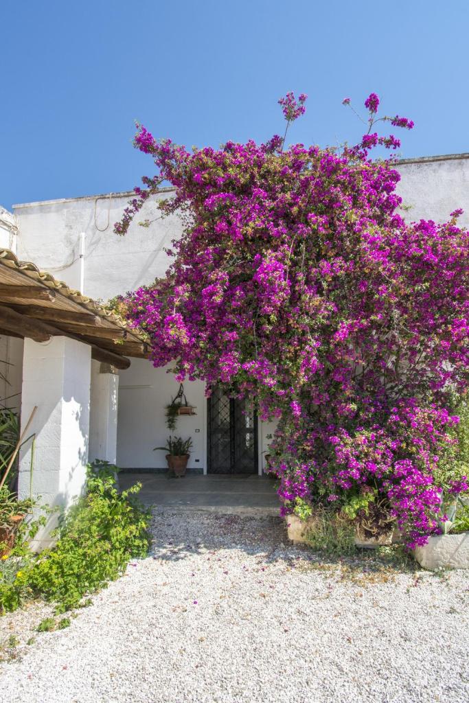 Masseria Bellamarina