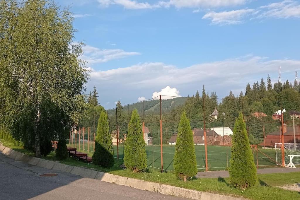 Căsuță la cheie Borsec - Kulcsos ház Borszék photo 4