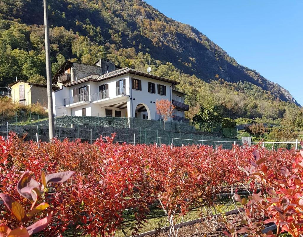 Guest House Le Cassandre photo 3
