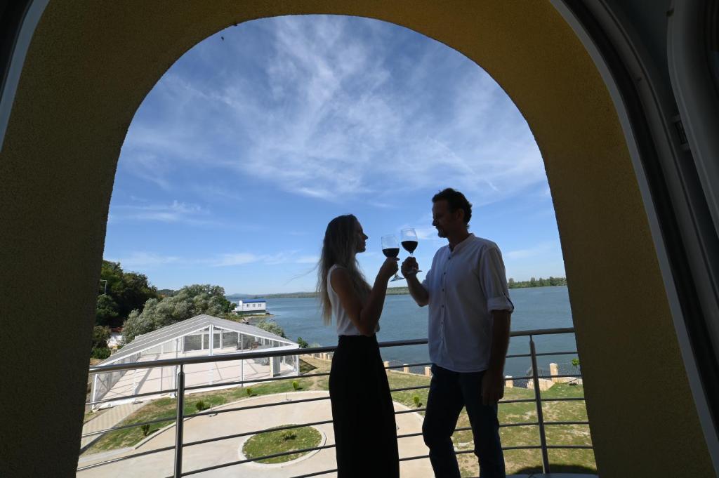 Vila Biser Dunava (Pearl of Danube Villa) photo 1