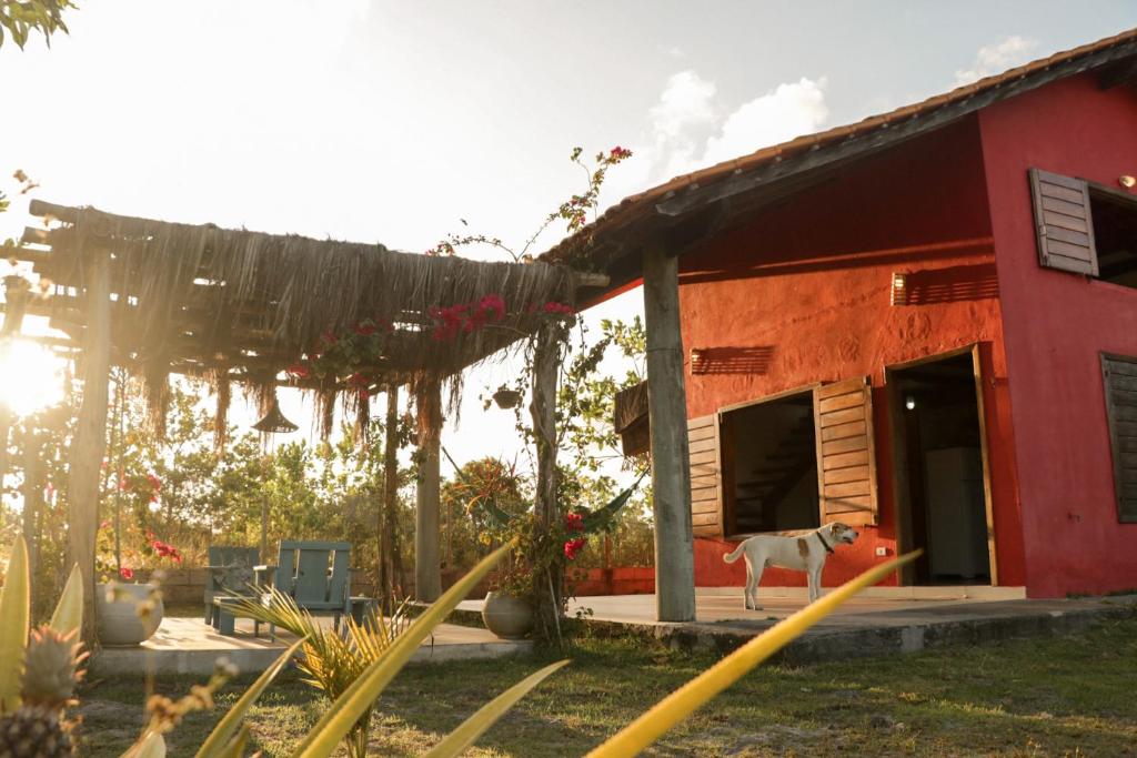 Casa Pitaya