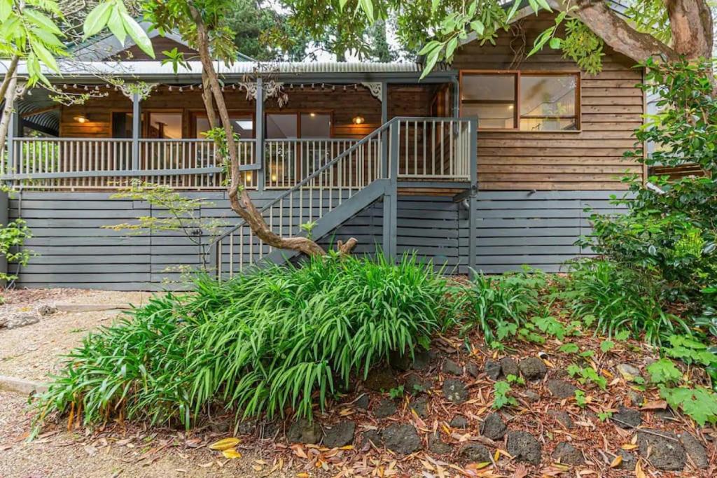 Tranquil 4 Bedroom Cottage in Olinda photo 4