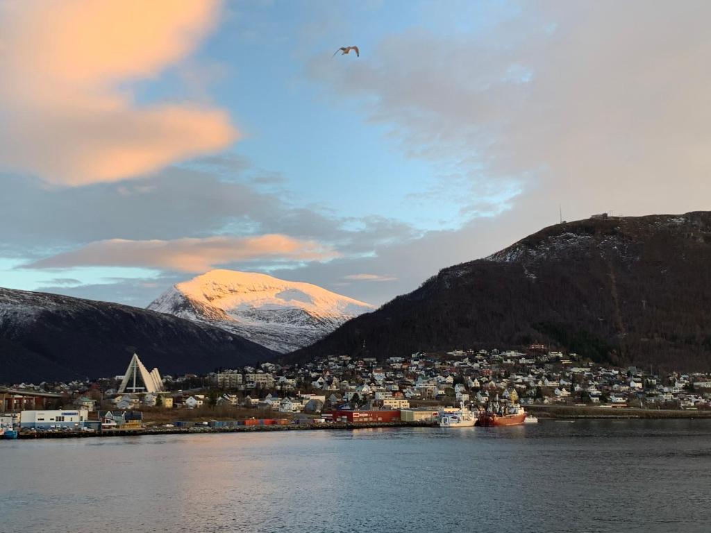 Top view Tromsø photo 2