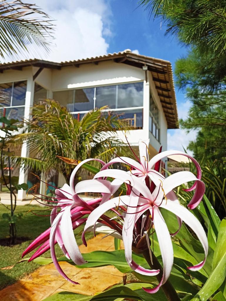 Casa do Capitao