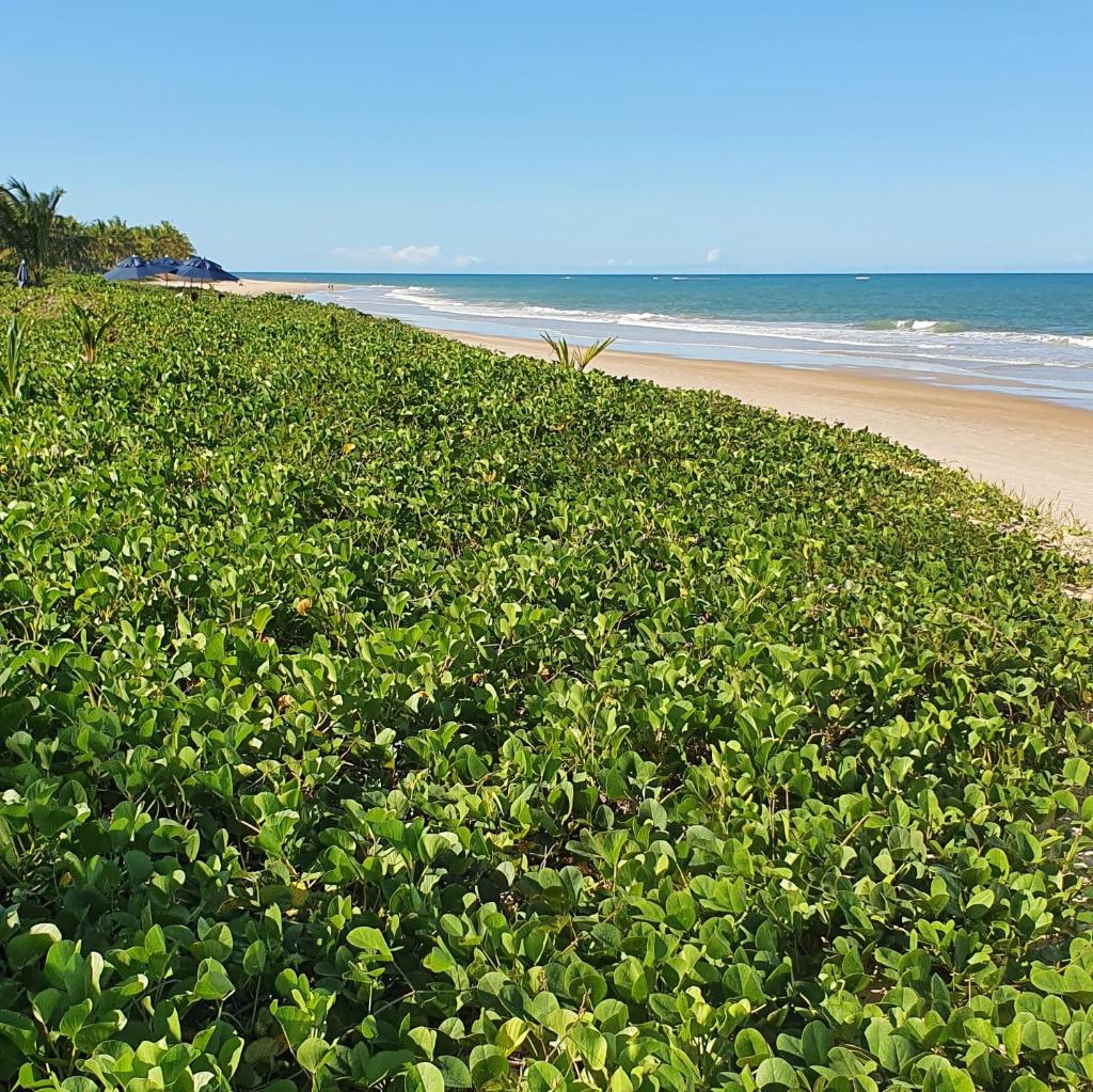 Trancoso Terravista Villa Floresta photo 4