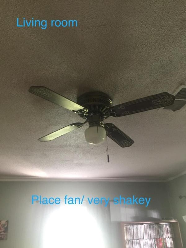 Yorkshire Estates photo 3