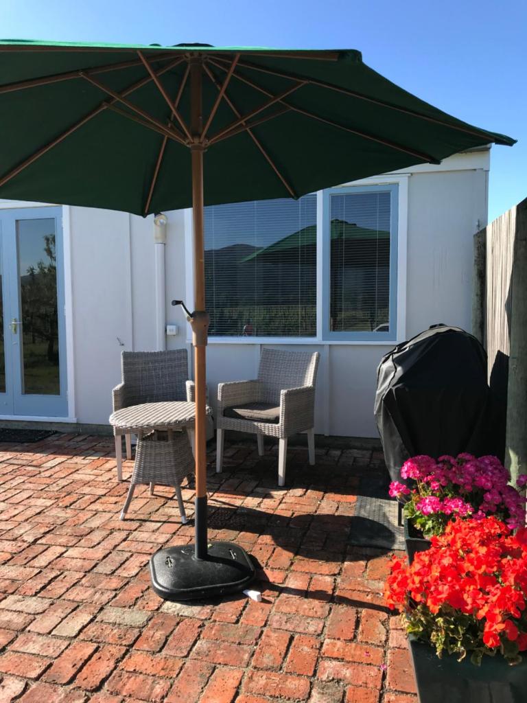 Vineyard Cottage in Blenheim on the Golden Mile photo 4