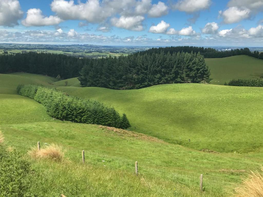 Southland Organic Farmstay photo 4