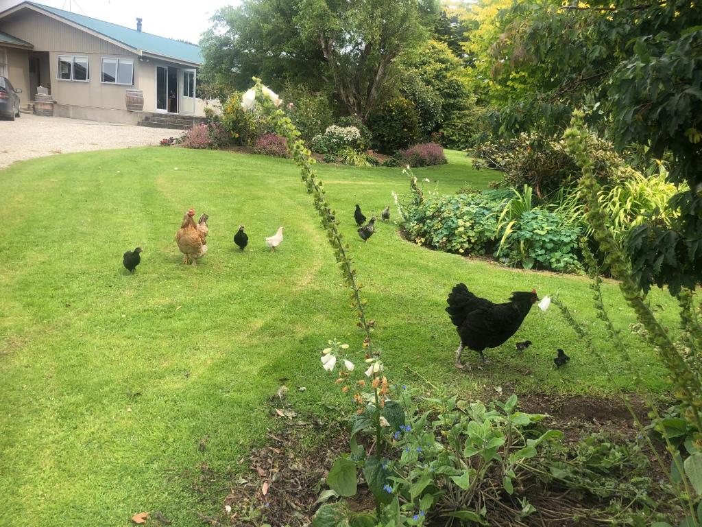 Southland Organic Farmstay photo 3