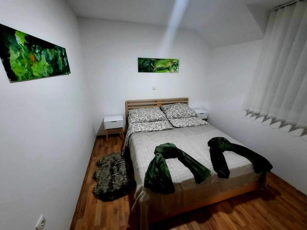 Vrnačka Banja Apartman Paeonia photo 3