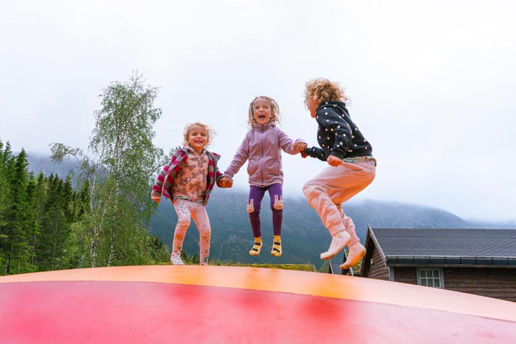 Topcamp Mosjøen - Helgeland photo 4