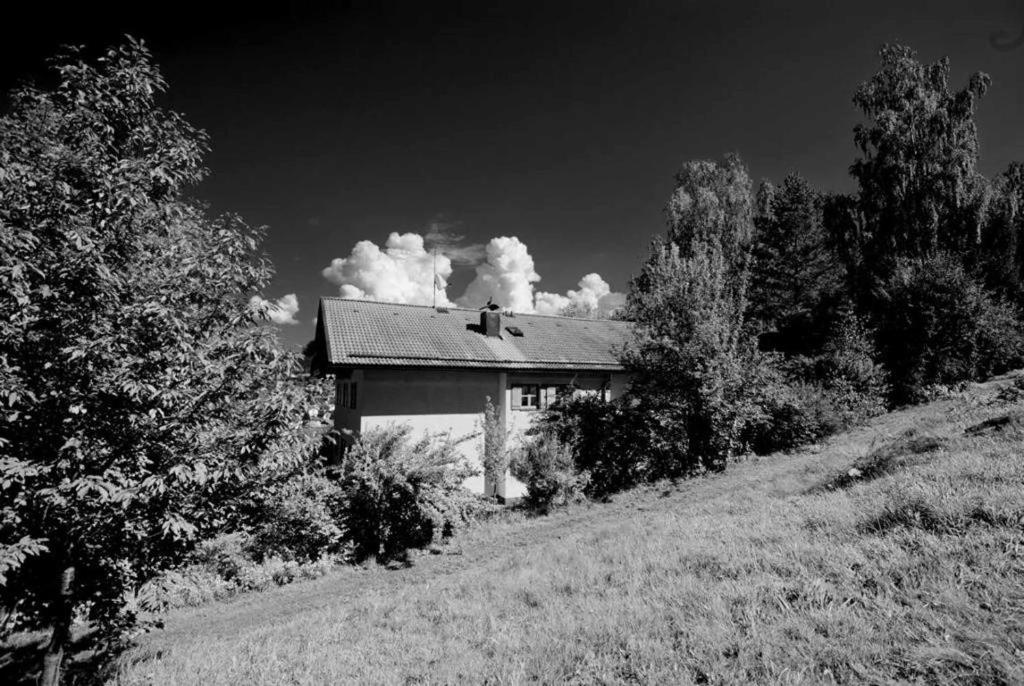 Ferienwohnungen Haus "Wildschütz" photo 4