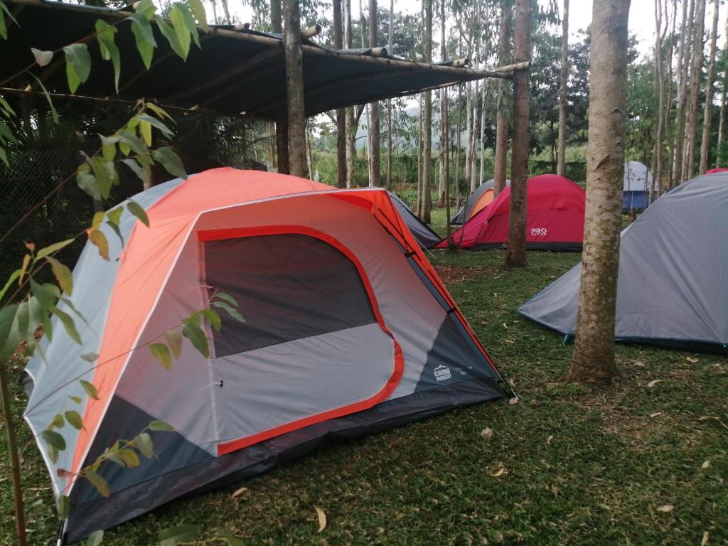 Murchison Backpackers photo 1