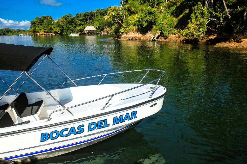 Bocas del Mar photo 3