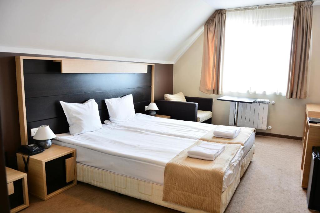Двухместный (Двухместный номер Делюкс с 1 кроватью), Olymp Hotel