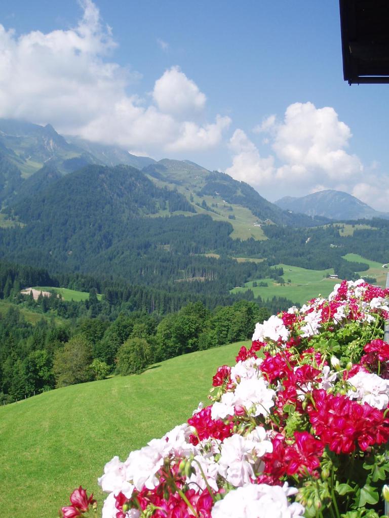 Hinterreith-Hof photo 2