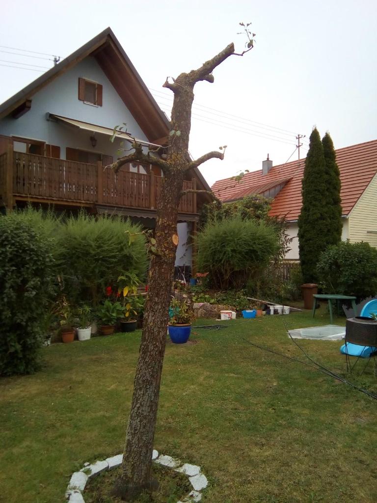 Villa Blue photo 1
